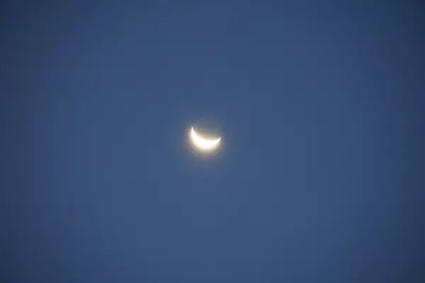 DSC00648.jpg