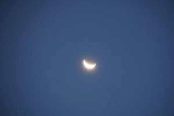 DSC00650.jpg
