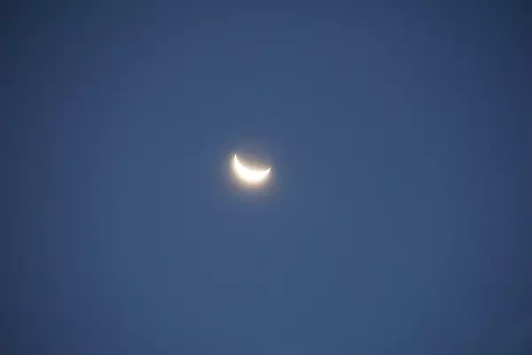 DSC00647.jpg