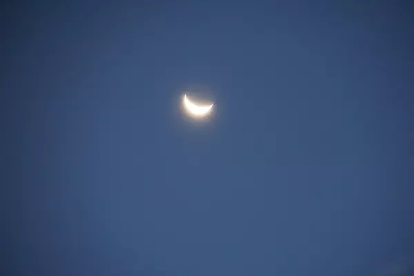 DSC00649.jpg